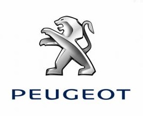 Pi&egrave;ces d&eacute;tach&eacute;es auto Peugeot